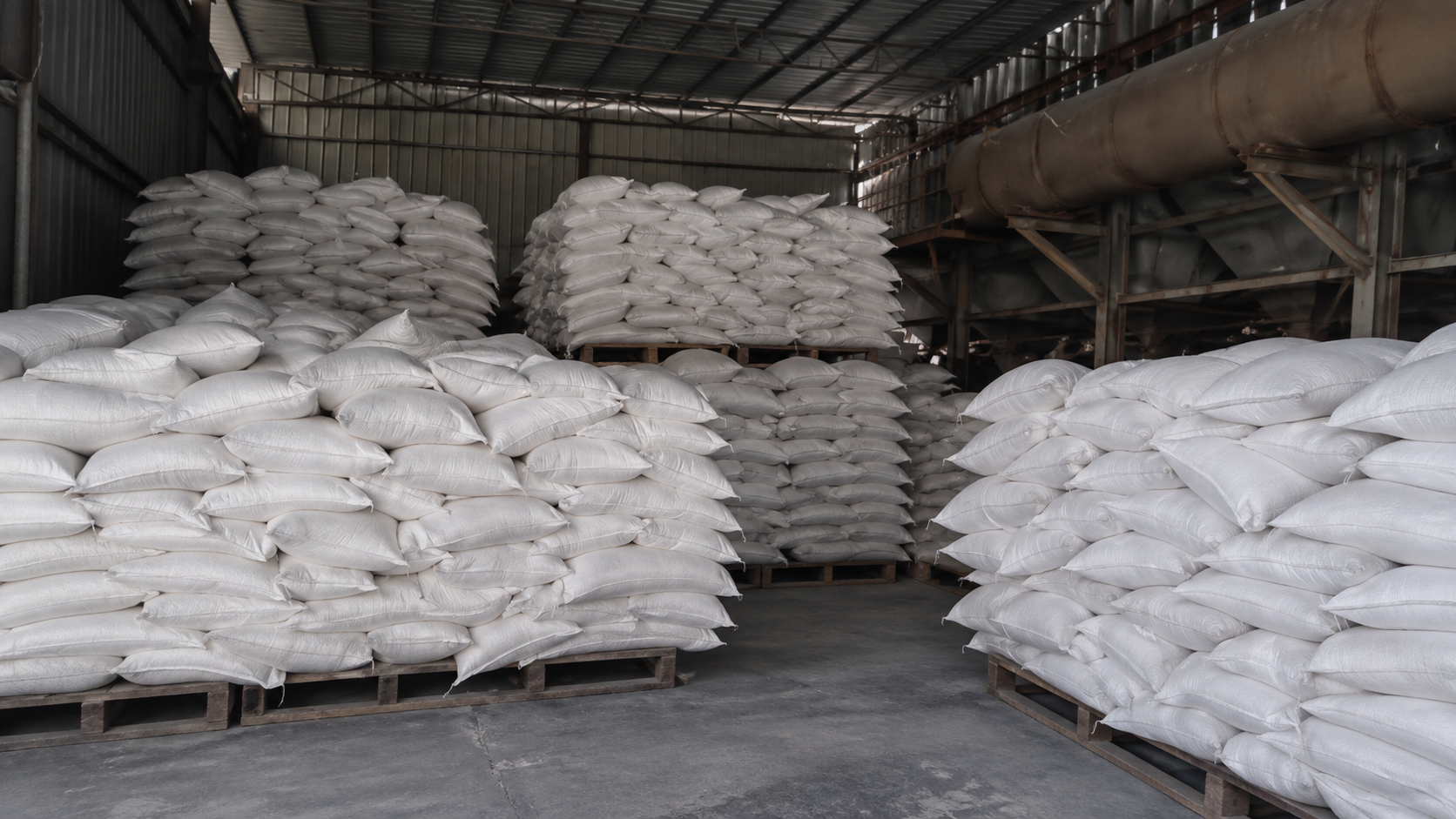Bagging and palletising line